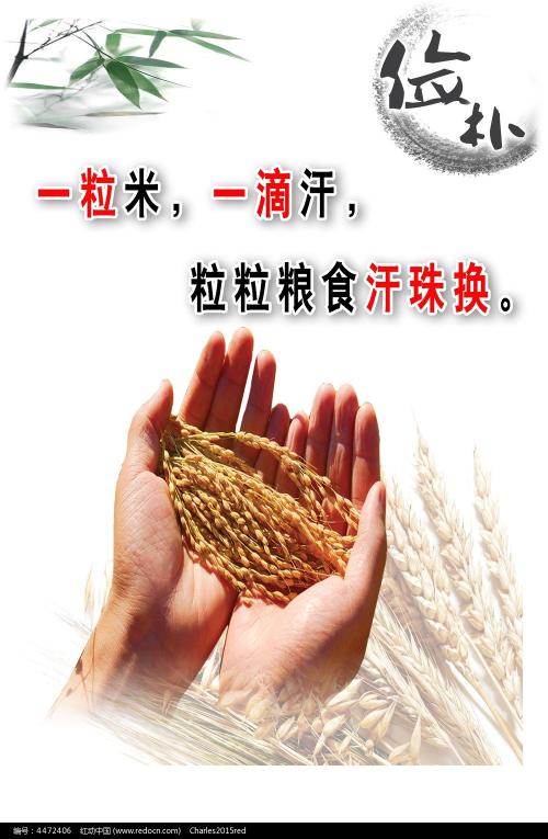 买个假的建行转账取款小票